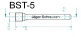 Titan (Ti6Al4V) - Bremsbelagstift Sonderfarben